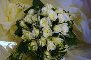 rosebrud2