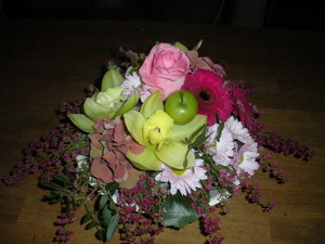 DSCN0829
