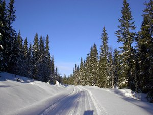 Skibilde