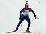 Boeuf Nordic Focus