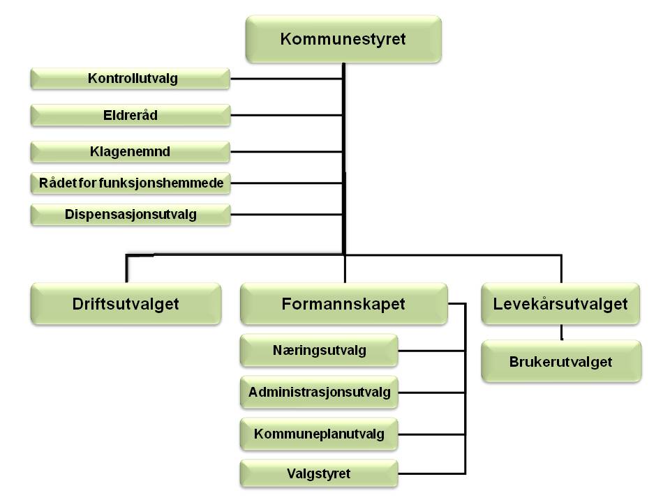  1 politisk organisering