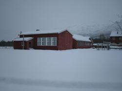 Skolen