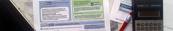 Okonomi skatt web