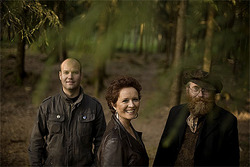 Folkemusikarar