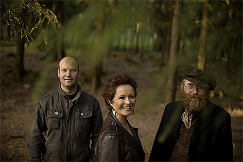 Folkemusikarar