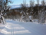 Spåtind