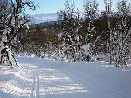 Spåtind