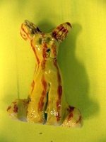 DSM bilder 004