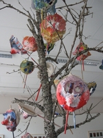 DSM bilder 006