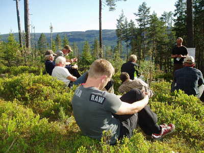 Skogkveld[ 2]  