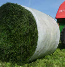 Grasballe Grasballe