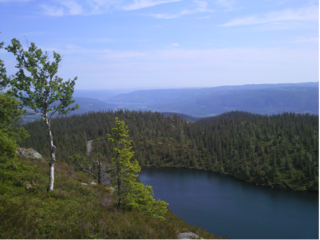 Fysak