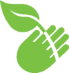 hand