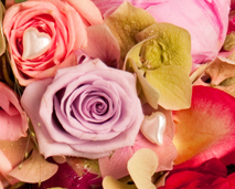 Blomster
