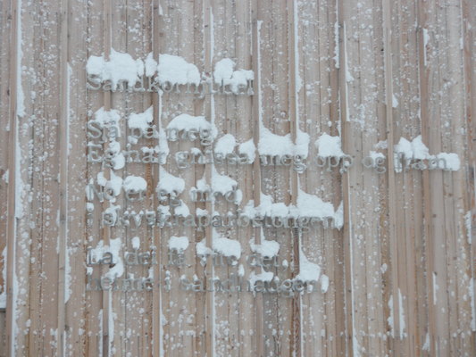 Sandkornjubel med snø Sandkornjubel med snø