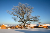 Vinter Tunveien Vinter Tunveien
