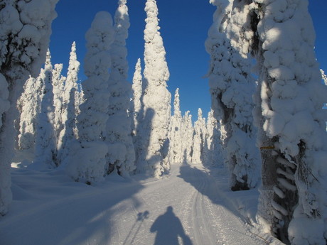 tshamwinter2011againagainagain 005