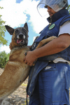 Norwegian PeopleÕs AidÕs deminers in Bosnia and Herzegovina. Their job does not only consist of mine clearance, but also of clearance of duds from cluster munitions and other unexploded ordnance. Various parties used cluster munitions during the civi