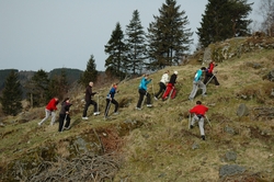 treningskontaktkurs