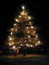 juletre