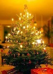 juletre