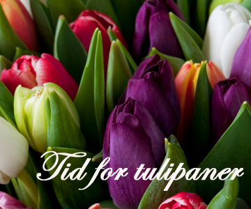Blomster