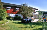 Pingvinen familiebarnehage bilde