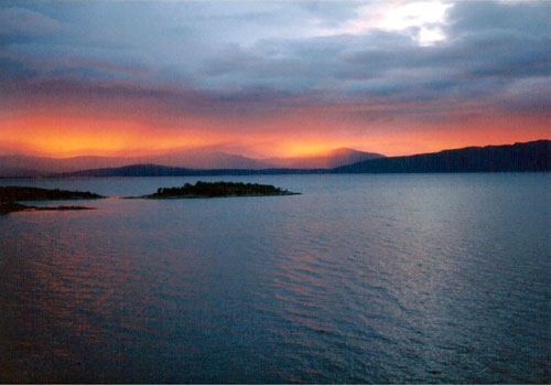 Nesset