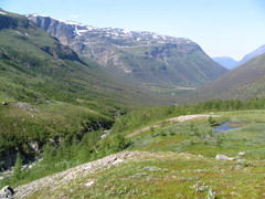 Skaidejuni-nalde-240