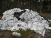 Landbruksplast 2012