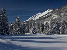 resized_500x375_500x375_lesmosses-paysage-hiver