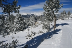 big_200811031449404221