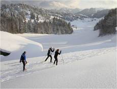 Plaine Joux