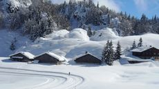 Chalet_hiver_massif_des_Brasses (11)