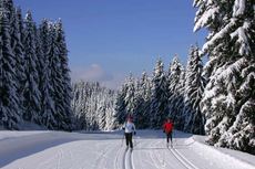 megeve fond