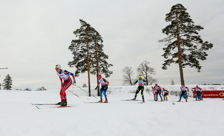 25.01.2015, Rybinsk, Russia (RUS): (l-r) Kristin Stoermer Steira (NOR), Madshus, One Way, Rottefella, Natalja Iljina (RUS) and Anouk Faivre Picon (FRA), Madshus, Swix, One Way- FIS world cup cross-country, skiathlon women, Rybinsk (RUS). www.nordicfocus. NordicFocus 25.01.2015, Rybinsk, Russia (RUS): (l-r) Kristin Stoermer Steira (NOR), Madshus, One Way, Rottefella, Natalja Iljina (RUS) and Anouk Faivre Picon (FRA), Madshus, Swix, One Way- FIS world cup cross-country, skiathlon women, Rybinsk (RUS). www.nordicfocus.