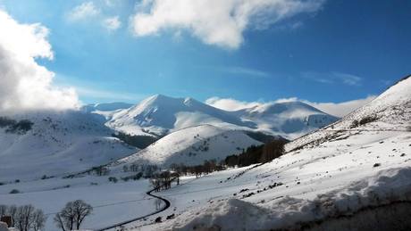 sancy