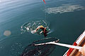 Fiskelykke