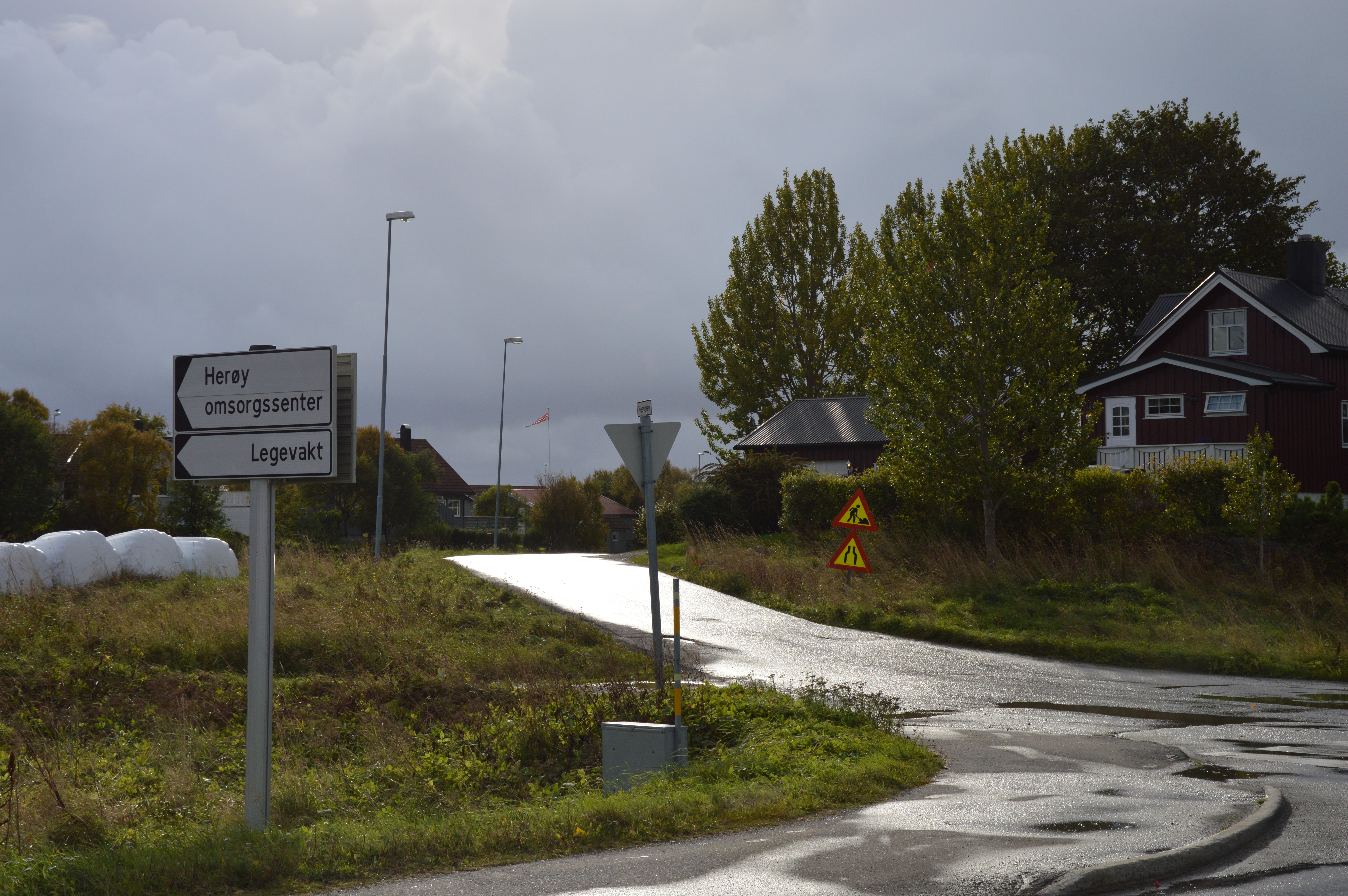 Nesveien stenges