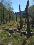 Hattebergsdalen Hattebergsdalen
