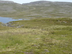 Bilde av natur Bilde av natur