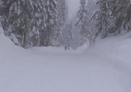 NORDIC ADDICT