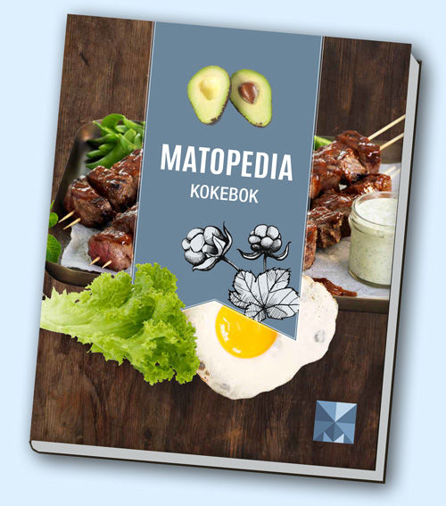 MatopediaKokebok500