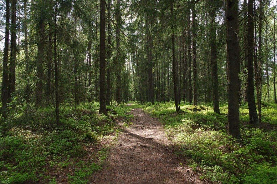 åsmåsan