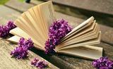 En åpen bok med en blomst liggende mellom sidene En åpen bok med en blomst liggende mellom sidene