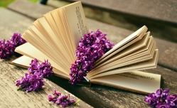 En åpen bok med en blomst liggende mellom sidene En åpen bok med en blomst liggende mellom sidene