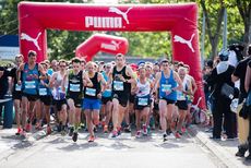 MARATHON VIGNOBLE ALSACE