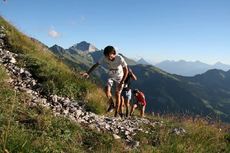ARAVIS SKY PURSUIT