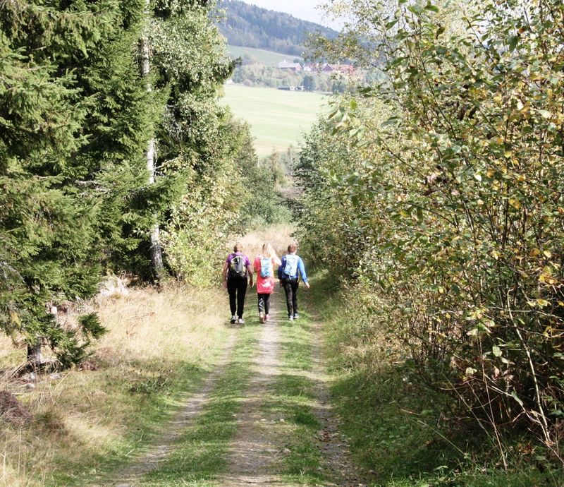 Går langs skogsvei. Går langs skogsvei.