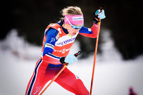 24.01.2016, Nove Mesto, Czech Republic (CZE):Therese Johaug (NOR) - FIS world cup cross-country, 4x5km women, Nove Mesto (CZE). www.nordicfocus.com. © Rauschendorfer/NordicFocus. Every downloaded picture is fee-liable. NordicFocus 24.01.2016, Nove Mesto, Czech Republic (CZE):Therese Johaug (NOR) - FIS world cup cross-country, 4x5km women, Nove Mesto (CZE). www.nordicfocus.com. © Rauschendorfer/NordicFocus. Every downloaded picture is fee-liable.